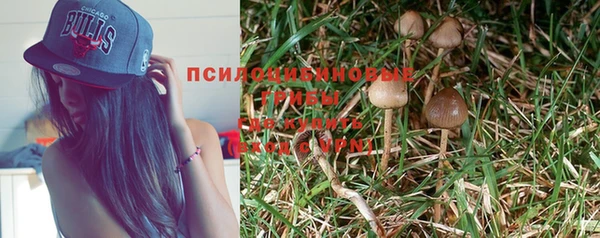 mdpv Баксан