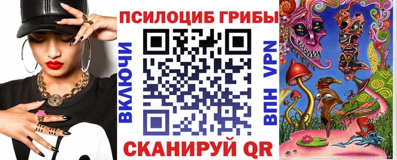 Галлюциногенные грибы Cubensis  купить   Судогда 
