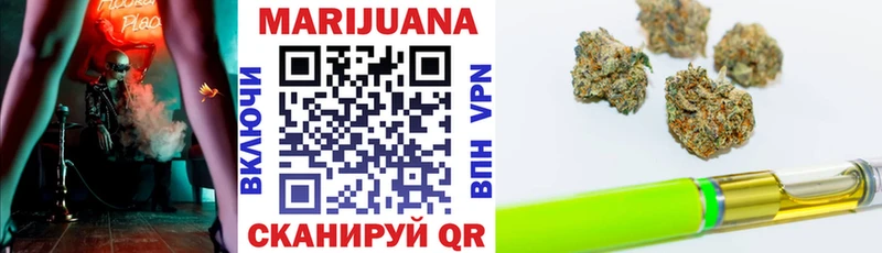 Бошки марихуана SATIVA & INDICA  KRAKEN как войти  Судогда 